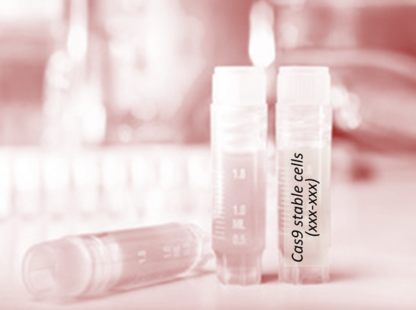 Cas9 Stable Cell Line (PK-15)