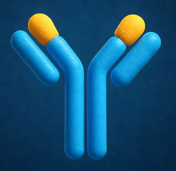 R-PE conjugated Affinipure Donkey Anti-Goat IgG (H+L)